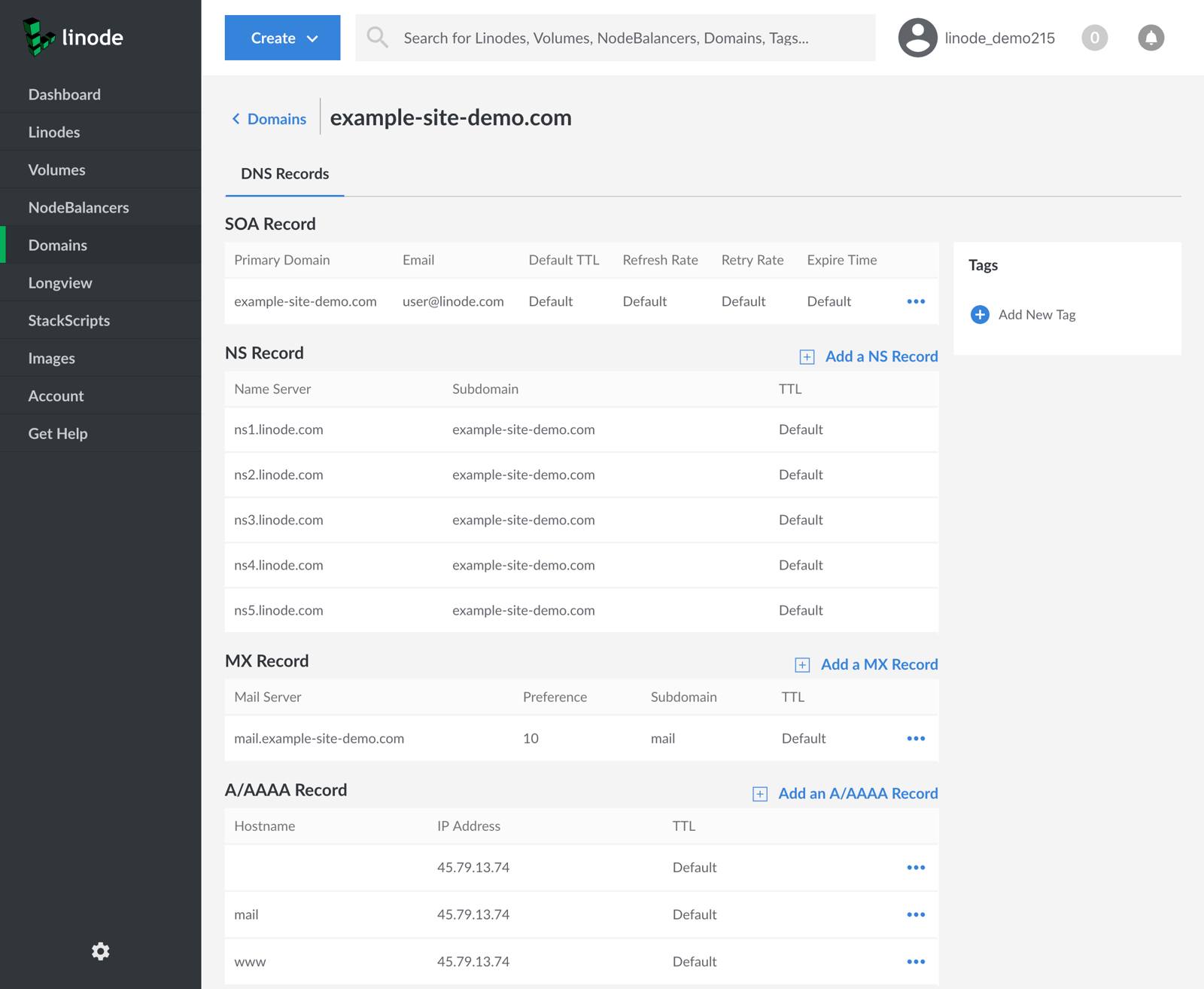 The SOA record is set to “example-site-demo.com”. The NS records are set to “ns1.linode.com” through “ns5.linode.com”, inclusive. The MX record is set to “mail.example-site-demo.com”. There are A records for [blank], which is the primary domain, and the “mail” and “www” subdomains. They are all set to the same IP.